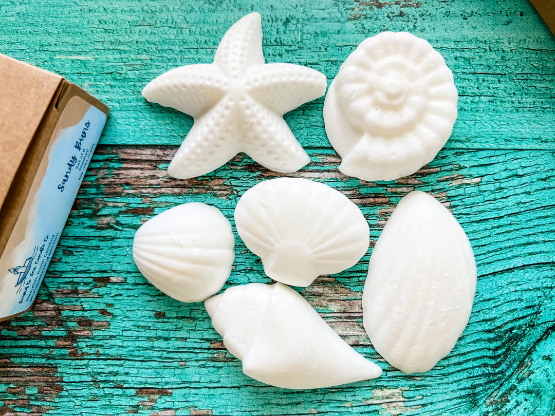 Seashell soy wax melts - Sound to Sea Candle Co.