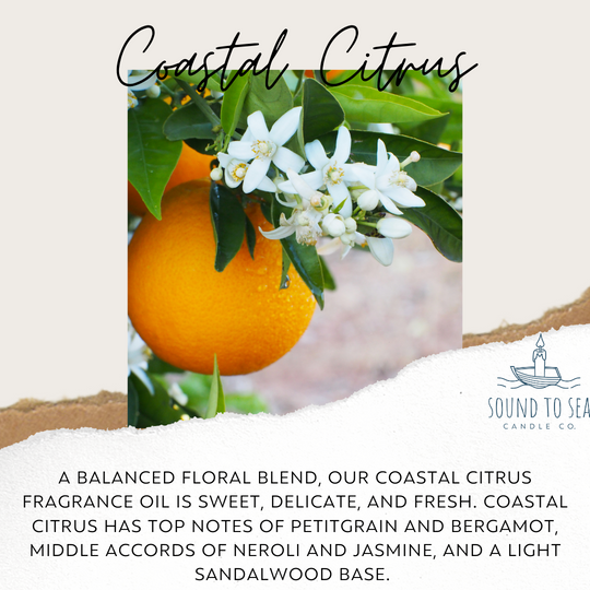 Coastal Citrus candle - Sound to Sea Candle Co.