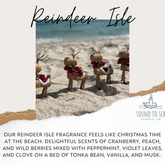 Reindeer Isle candle, seashell jar - Sound to Sea Candle Co.