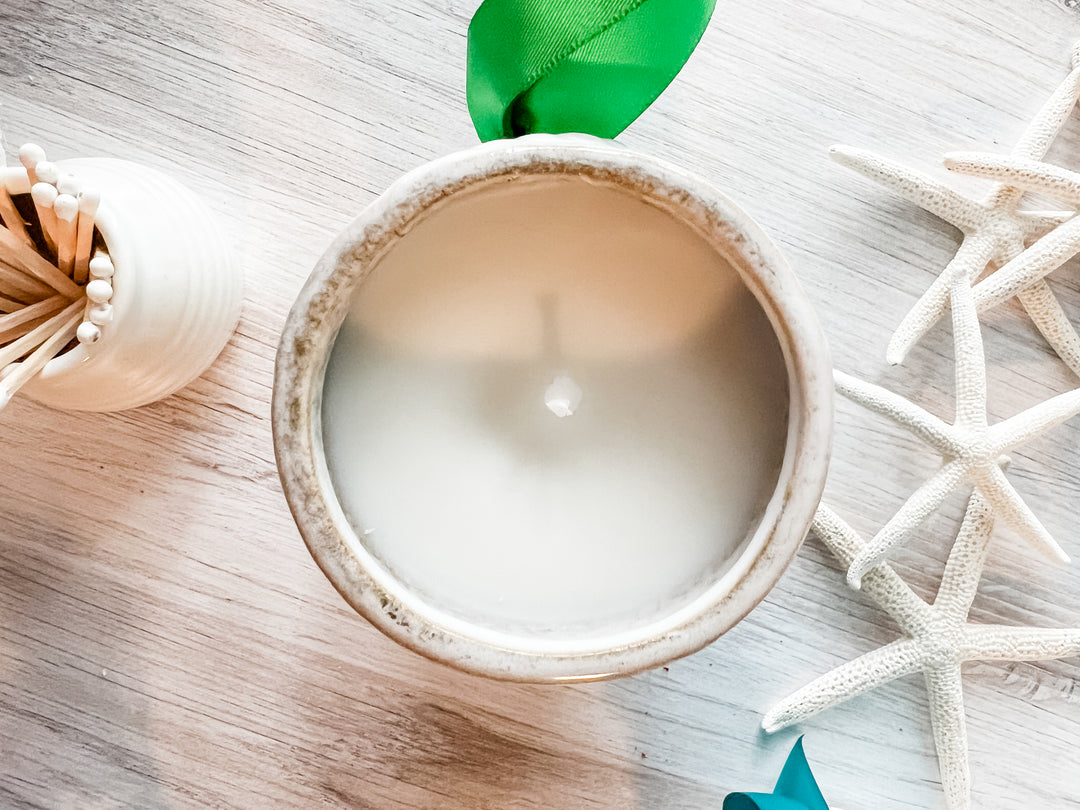 Seaside Cider candle, seashell jar - Sound to Sea Candle Co.