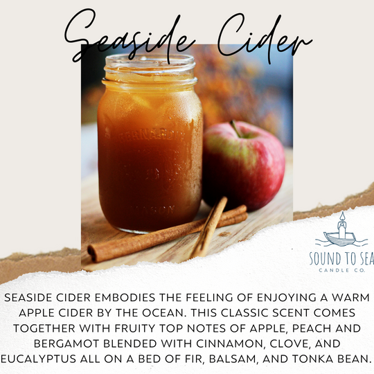 Seaside Cider candle, seashell jar - Sound to Sea Candle Co.